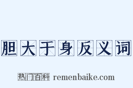 胆大于身反义词是什么意思的图片